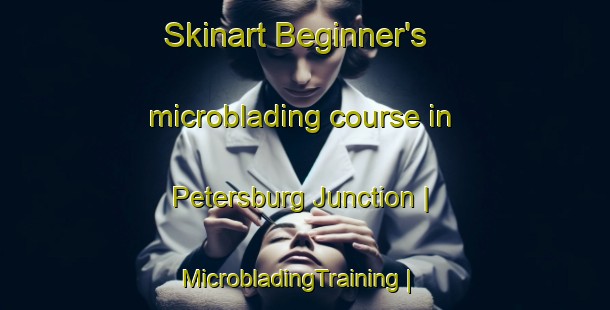 Skinart Beginner's microblading course in Petersburg Junction | MicrobladingTraining | MicrobladingClasses | SkinartTraining-United States